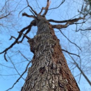 Meet your Posher, Liam